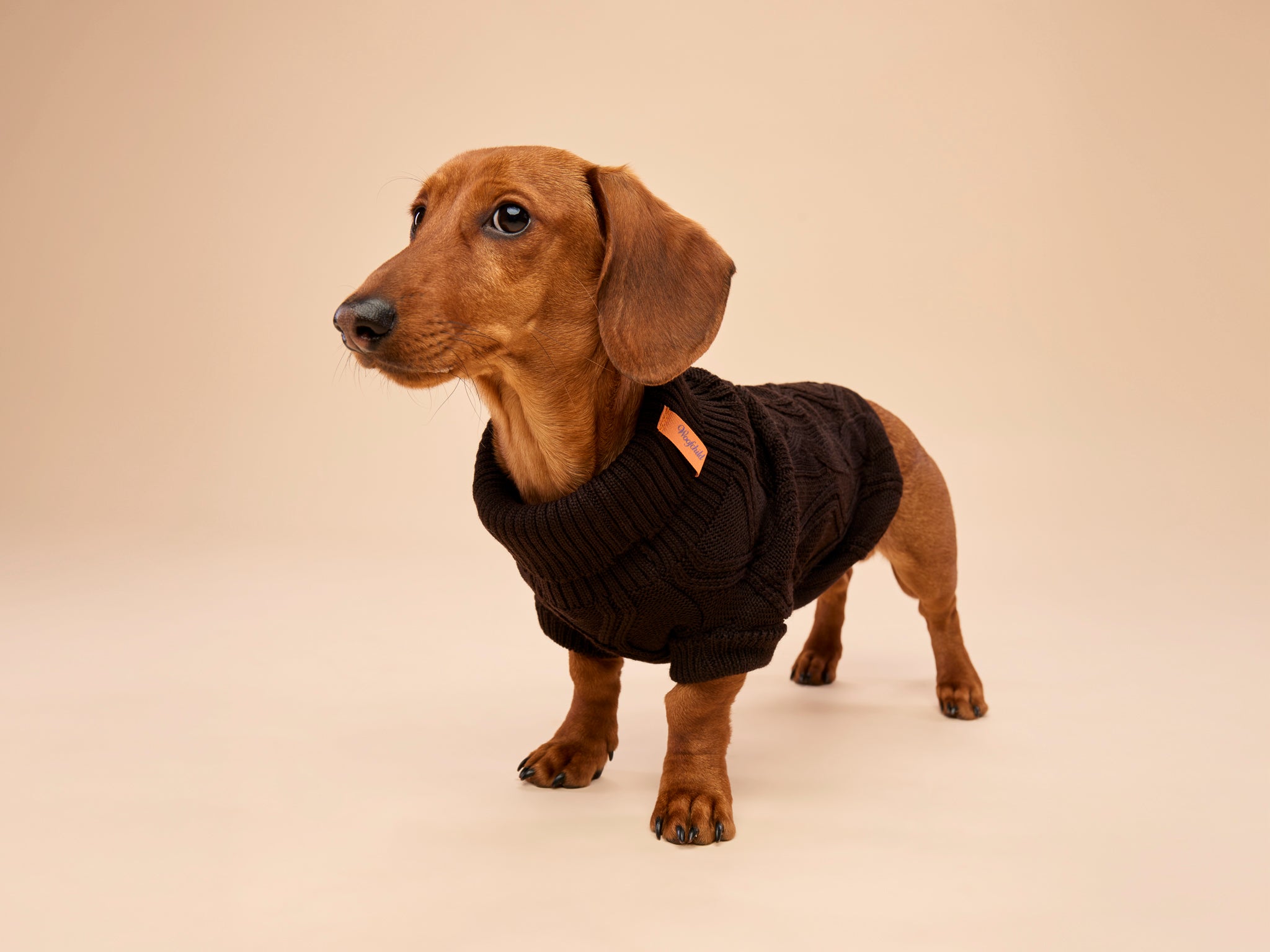 Woofy Chocolate Fondant sweterek z golfem dla psa