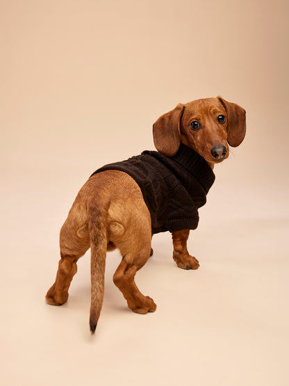 Woofy Chocolate Fondant sweterek z golfem dla psa