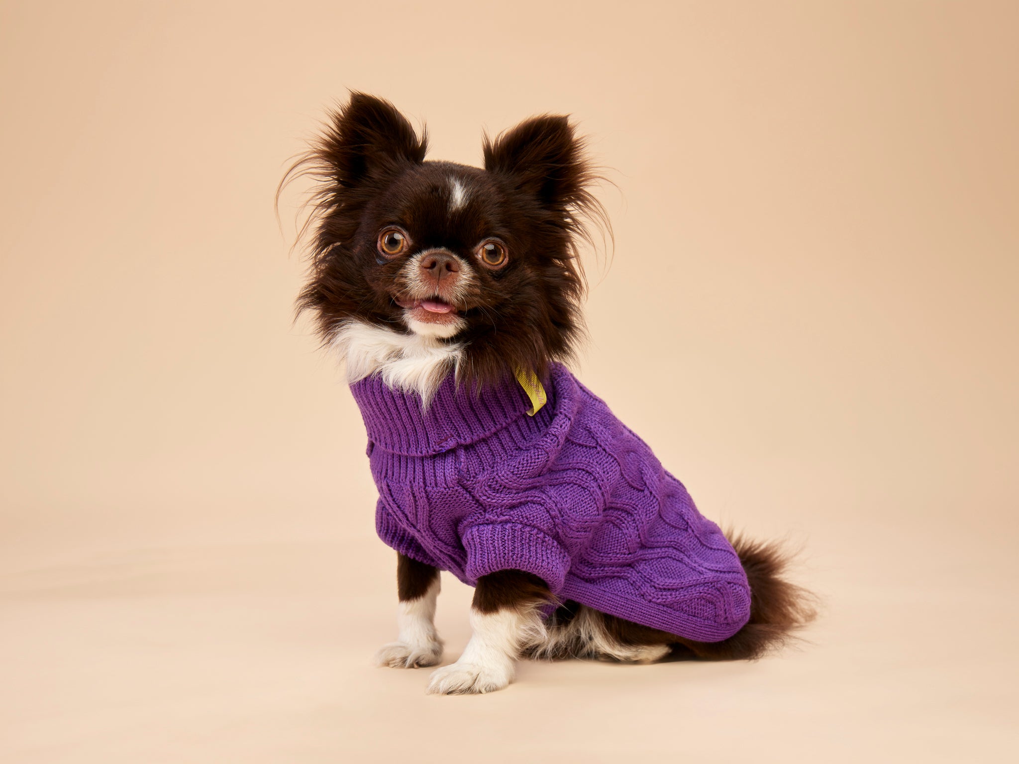 Woofy Alice Lilac sweterek z golfem dla psa