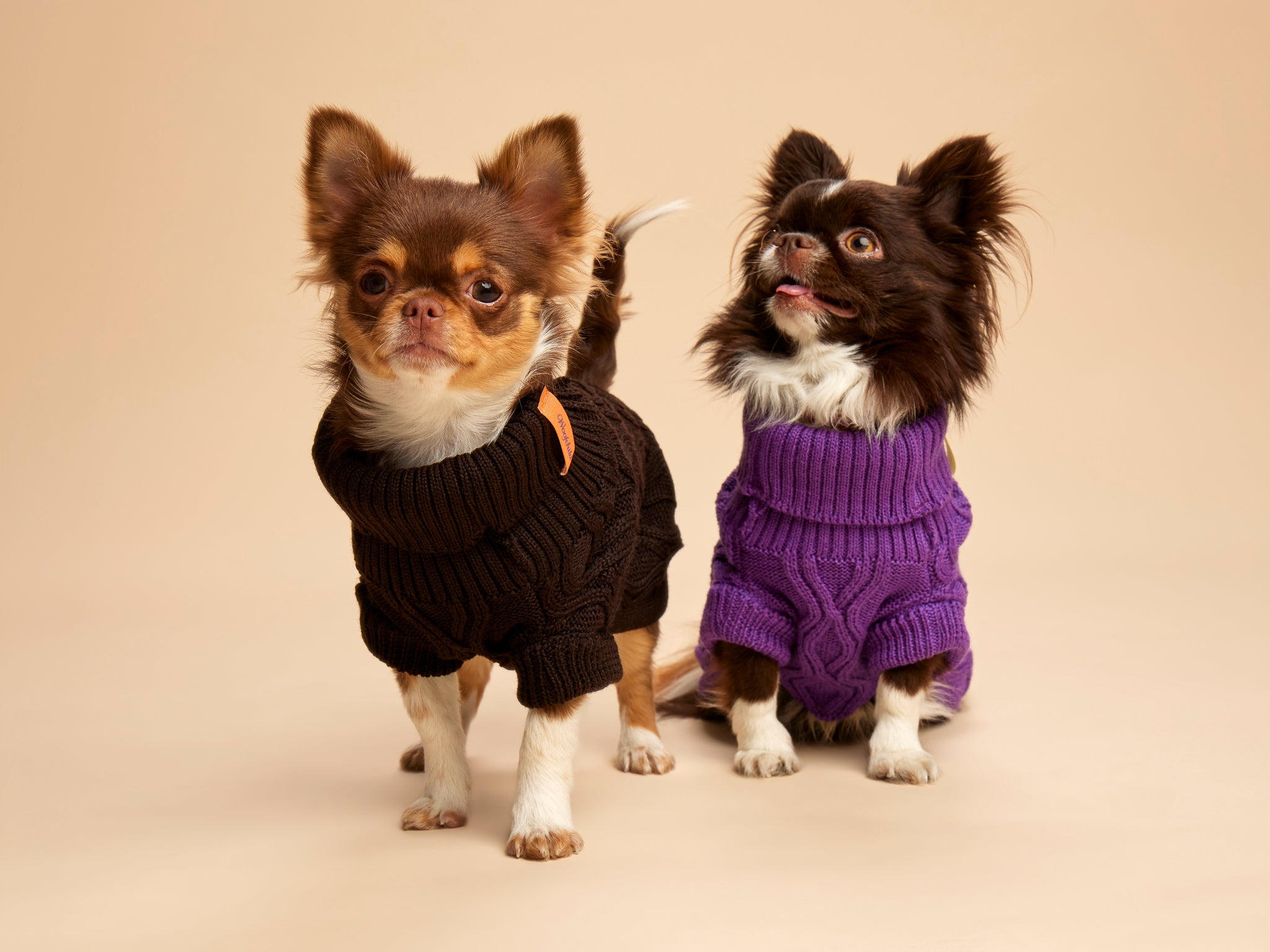 Woofy Chocolate Fondant sweterek z golfem dla psa