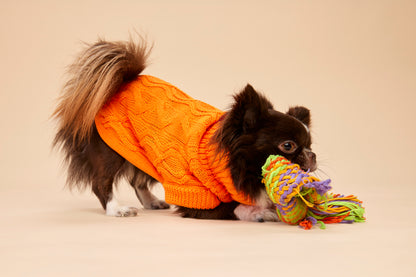 Woofy Pumpkin Pie sweterek z golfem dla psa