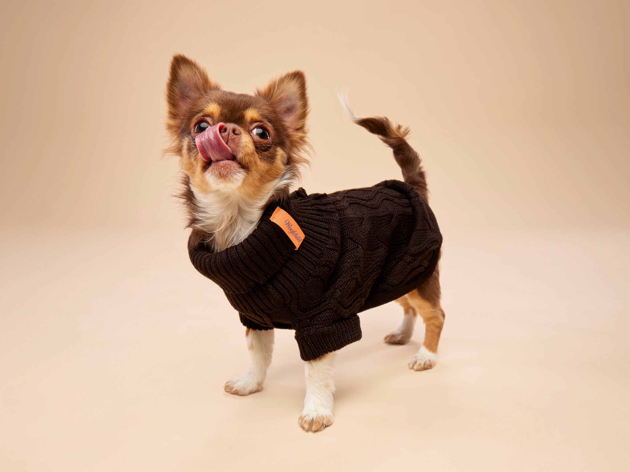 Woofy Chocolate Fondant sweterek z golfem dla psa