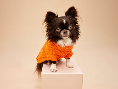 Woofy Pumpkin Pie sweterek z golfem dla psa