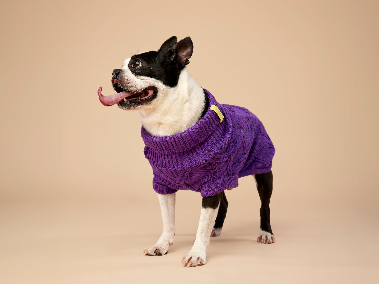 Woofy Alice Lilac sweterek z golfem dla psa