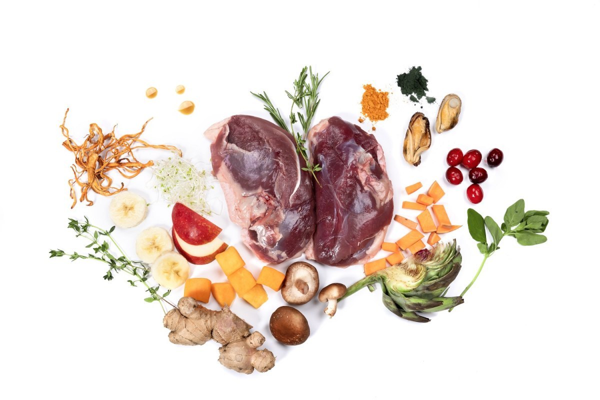 Duck – Mokra karma dla dorosłych psów z kaczką 400g