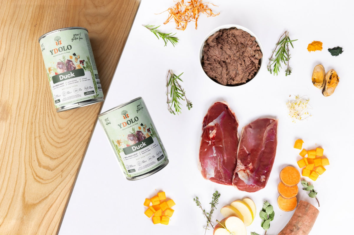 Duck – Mokra karma dla dorosłych psów z kaczką 400g