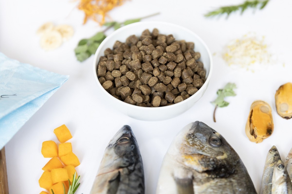 Wild Fish – Półwilgotna karma dla dorosłych psów z rybą morską 2,5kg