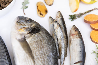 Wild Fish – Półwilgotna karma dla dorosłych psów z rybą morską 2,5kg