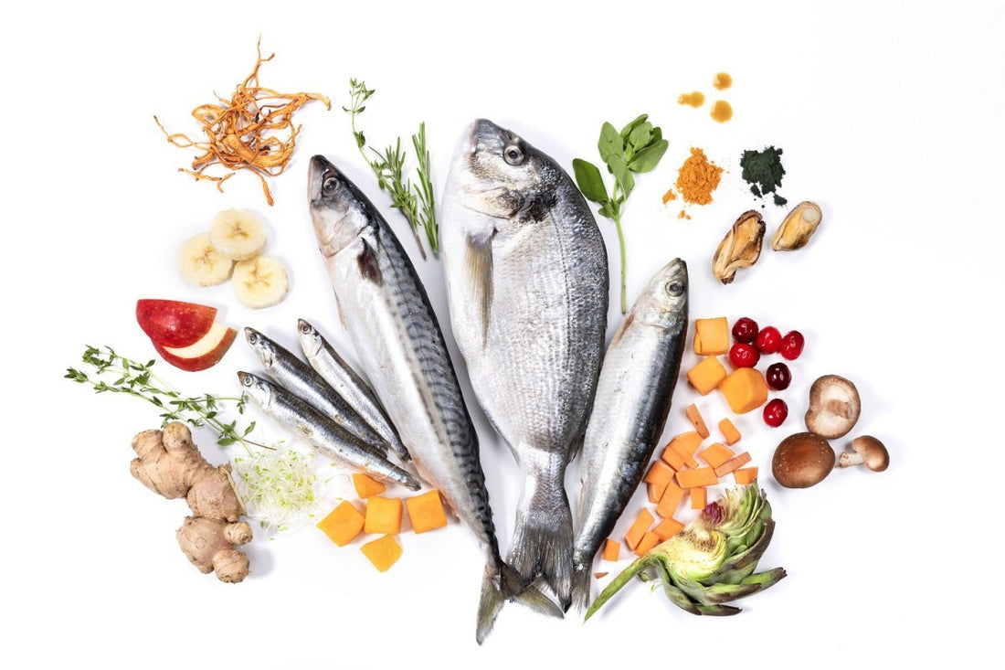 Wild Fish – Półwilgotna karma dla dorosłych psów z rybą morską 2,5kg