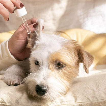 Płyn do czyszczenia uszu Calm Ears 30ml