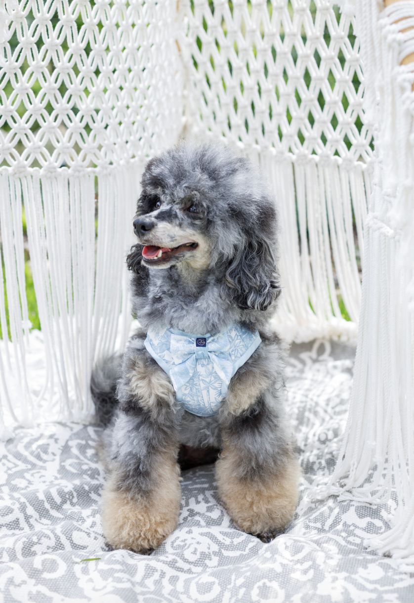 Szelki dla psa Lumière Błękitne