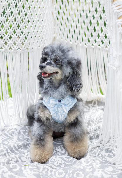 Szelki dla psa Lumière Błękitne