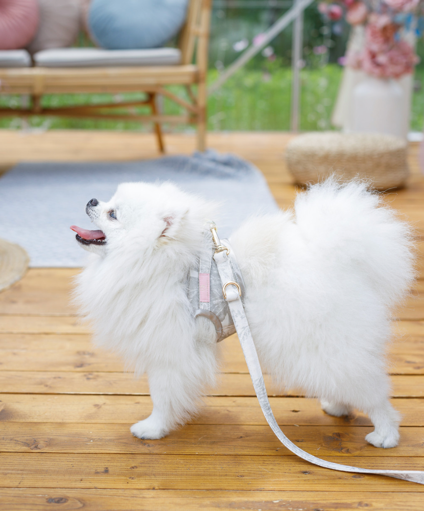 Szelki dla psa Lumière