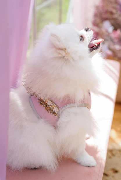 Szelki dla psa Aurora