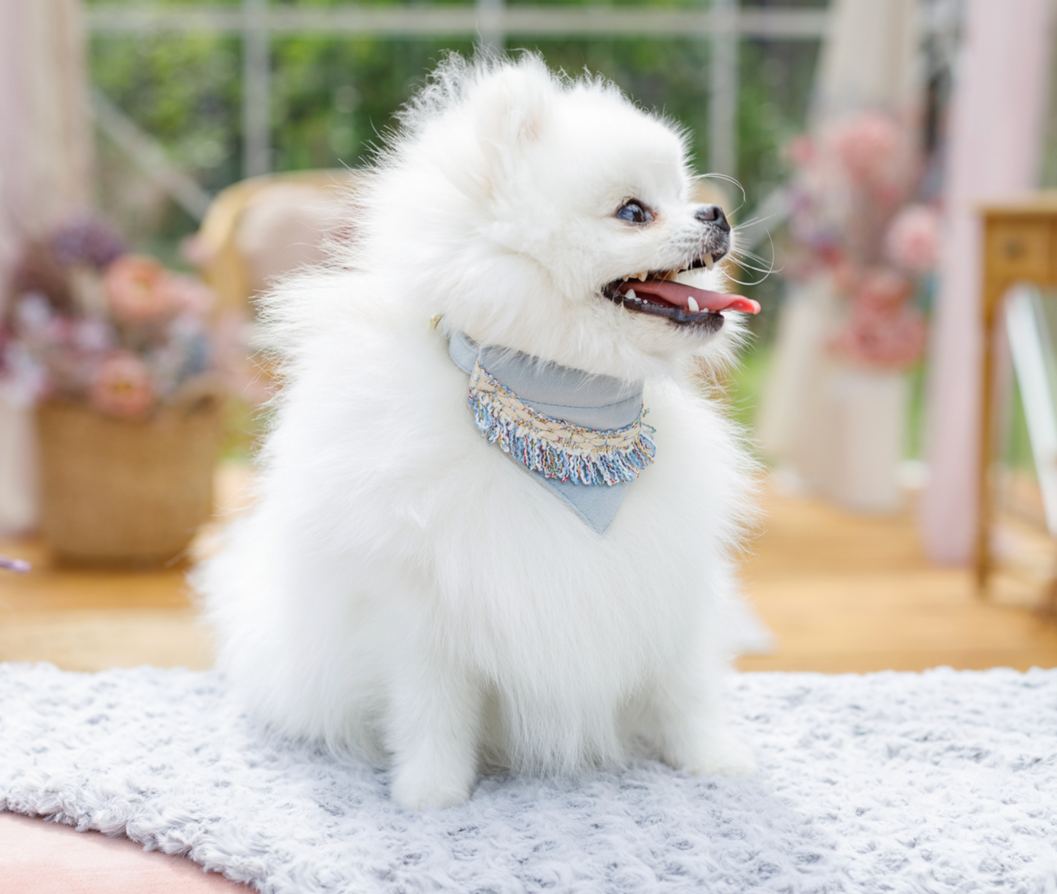 Aurora Dog Bandana