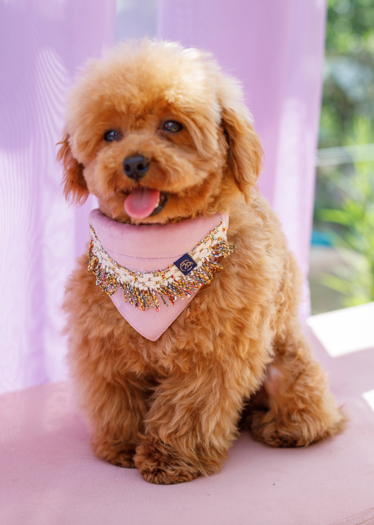 Bandanka dla psa Aurora