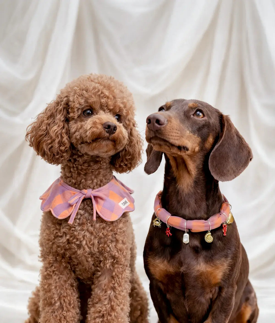 Kołnierzyk Lola Vichy