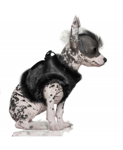 Luksusowe ocieplane szelki dla psa Altair