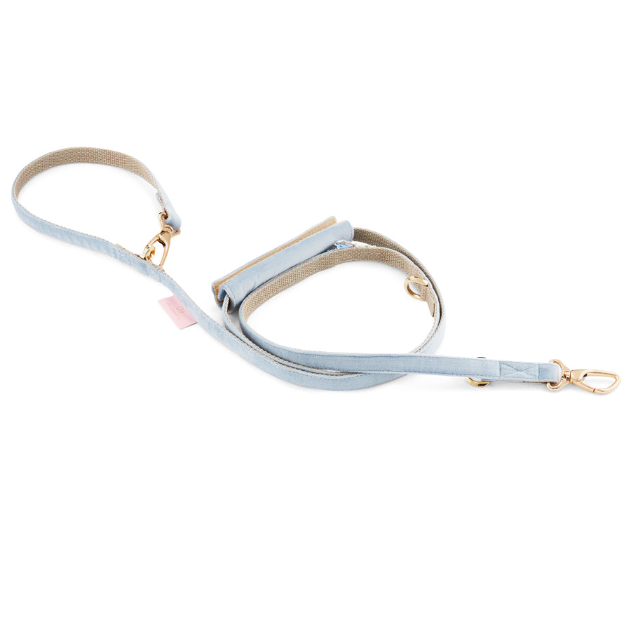 Aurora Luxury Dog Leash, Blue
