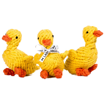 Emma the Duck