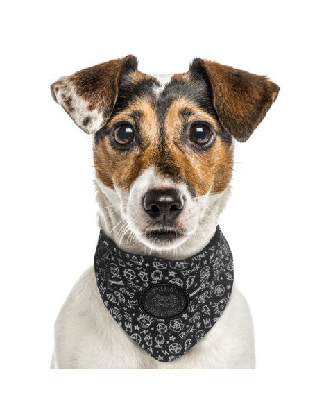 Luksusowa bandana noir dla psa w czaszki, czarna