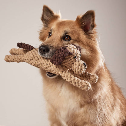 Leszek the Dog