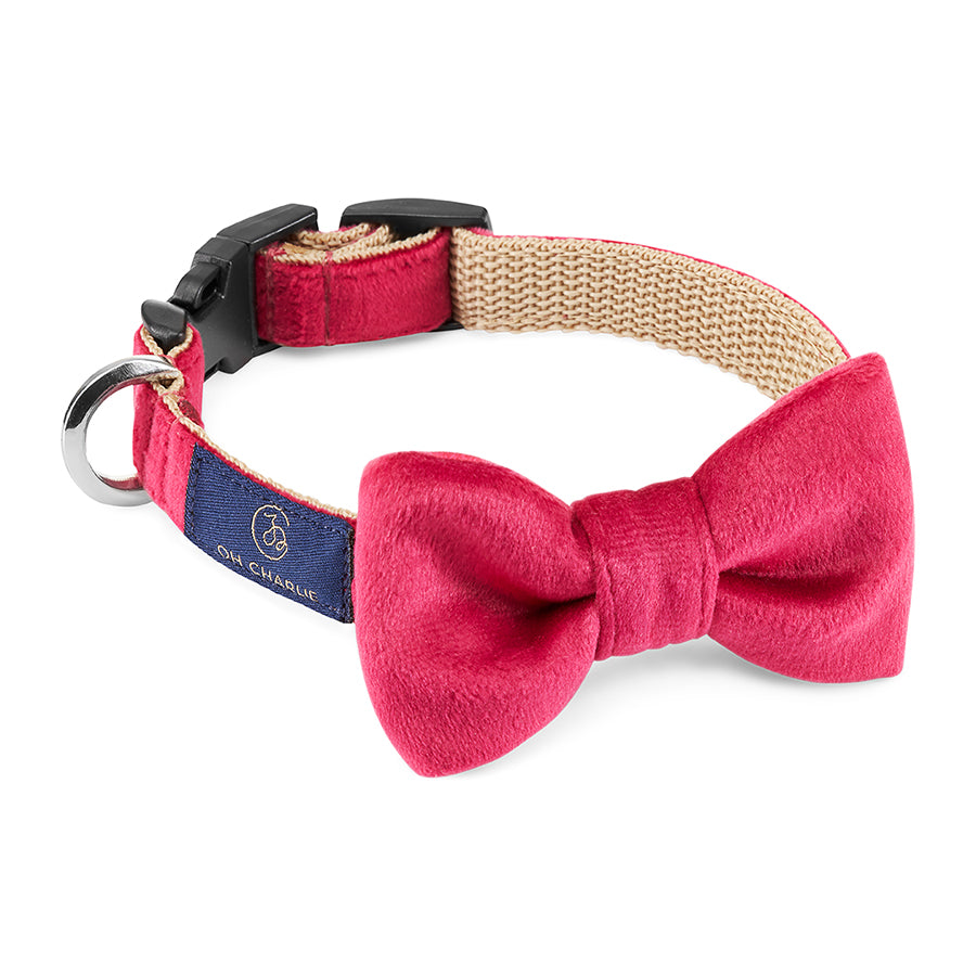 Mucha dla psa Glam, Amarantowa