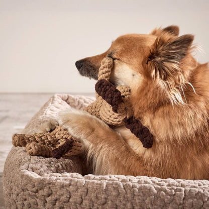 Leszek the Dog