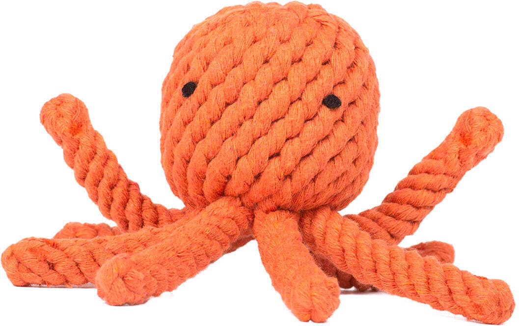 Tadeusz the Octopus