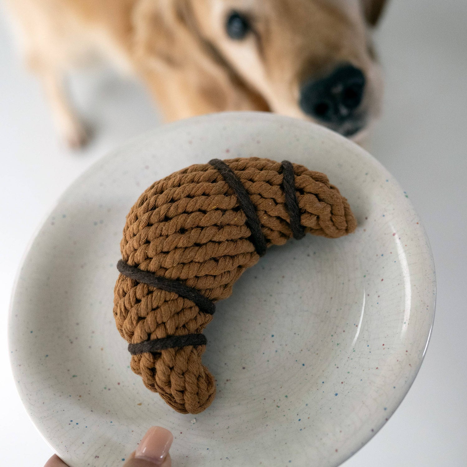 Chrissy Croissant