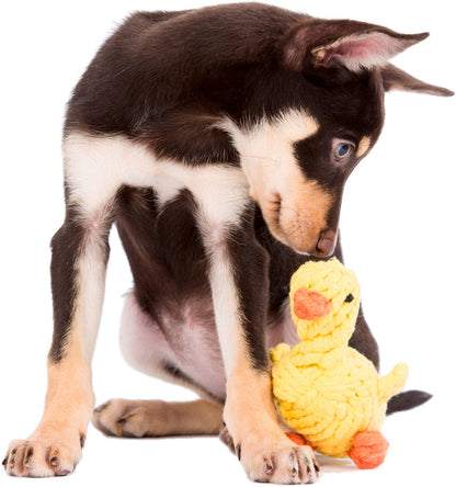 Emma the Duck