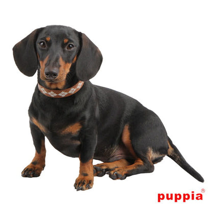 Pupia - Beige Dog Collar 