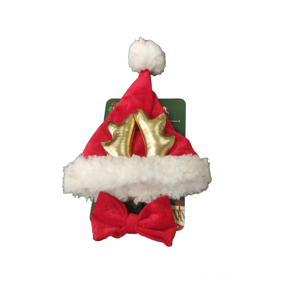 Świąteczny Zestaw Dla Psa