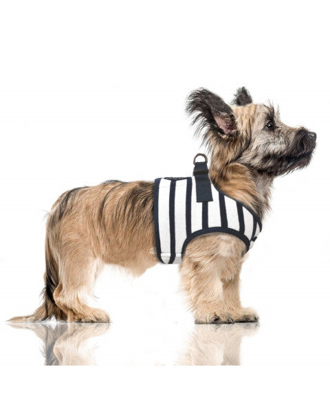 Luksusowe szelki dla psa Loan, w paski