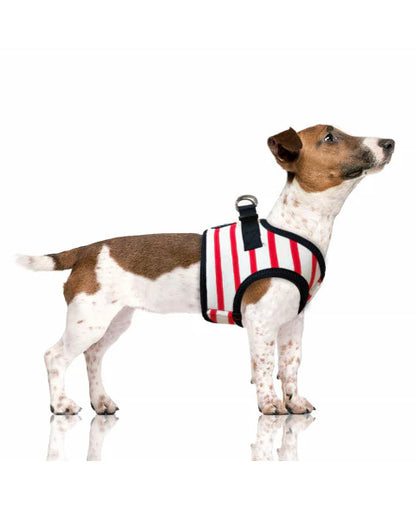 Luksusowe szelki dla psa Loan, w paski czerwone