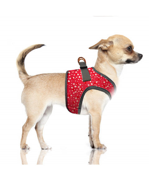 Sidonie luxury dog ​​harness with hearts