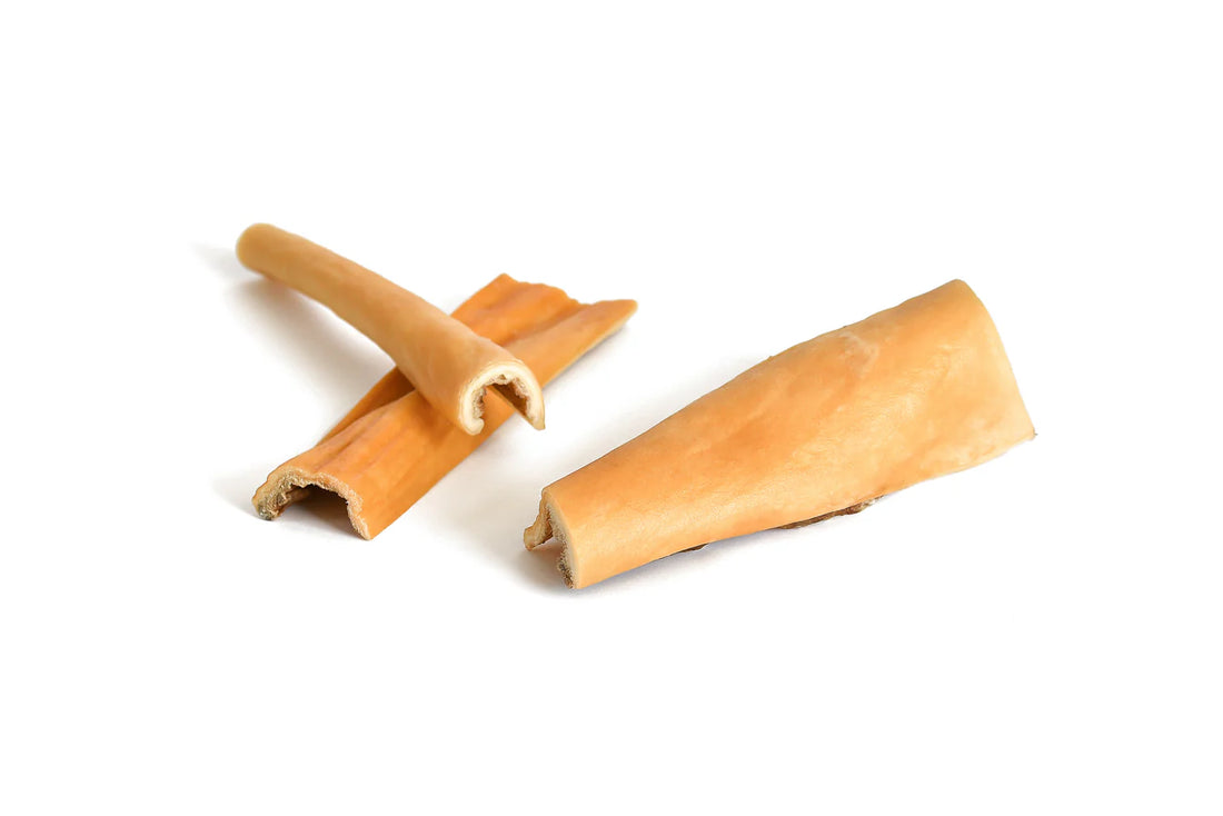 Pala Chewing | skóra końska 100g