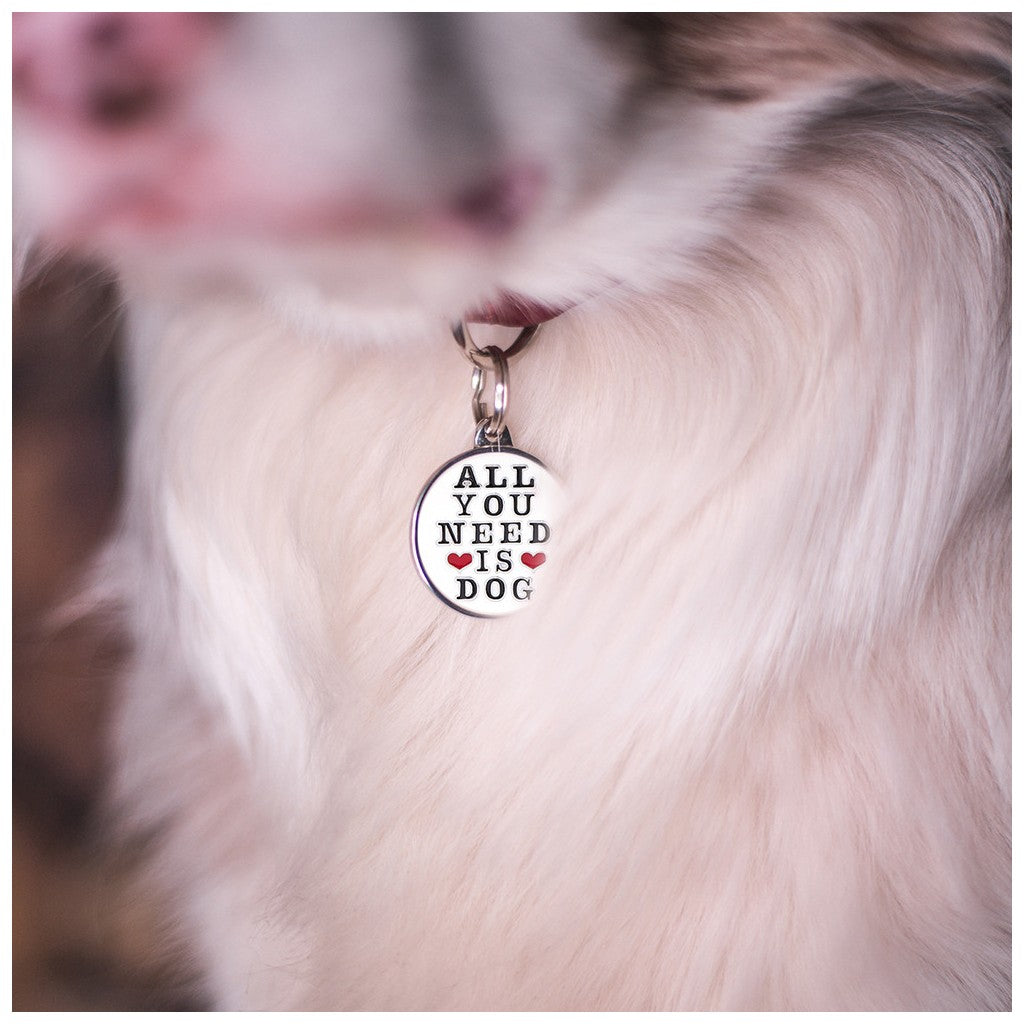 Adresówka personalizowana - All You need is dog