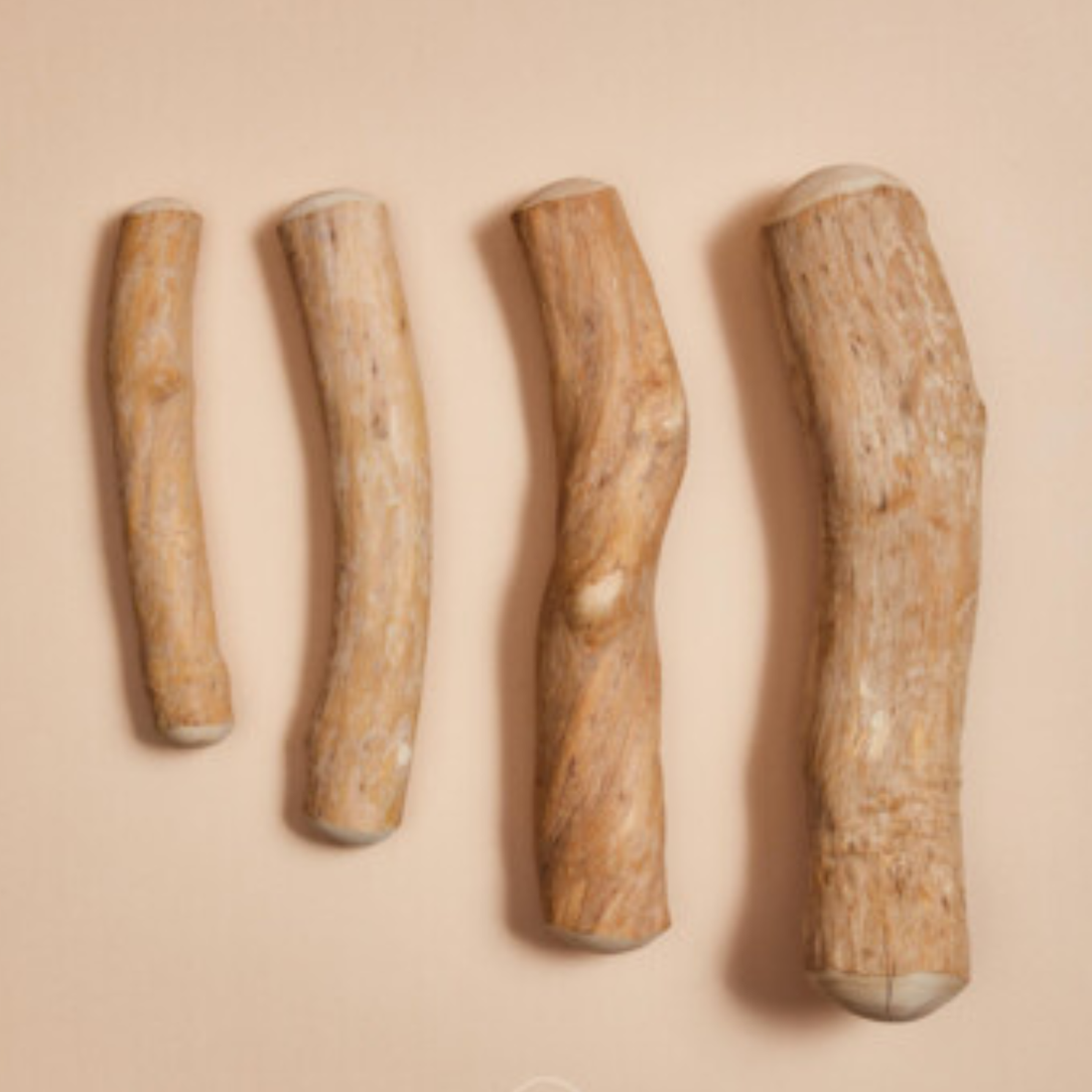 Canophera - Coffee Wood Dog Chew
