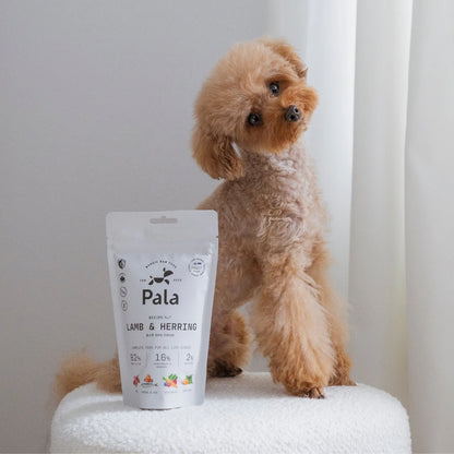 Pala Raw Food | jagnięcina i śledź 1kg