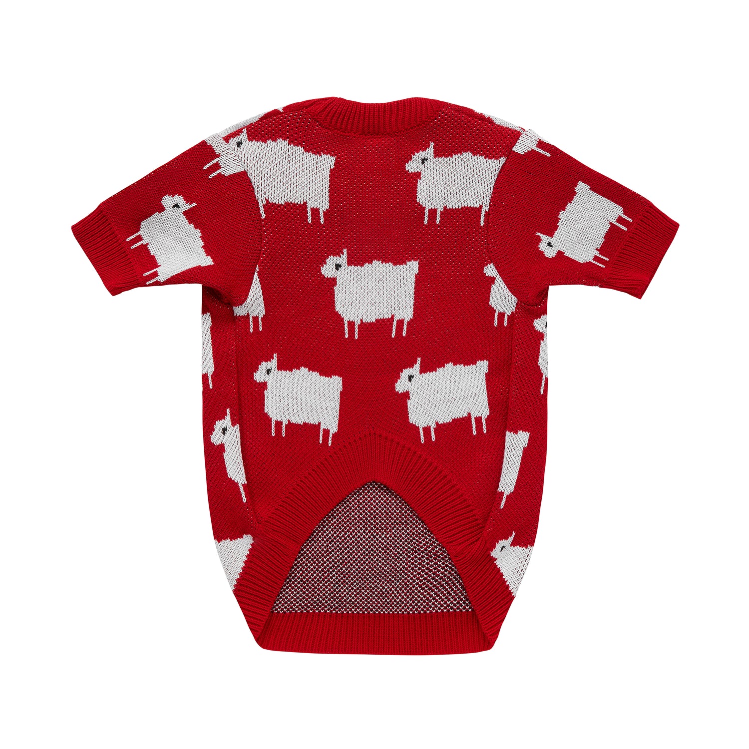 Sweterek DIANA w owieczki