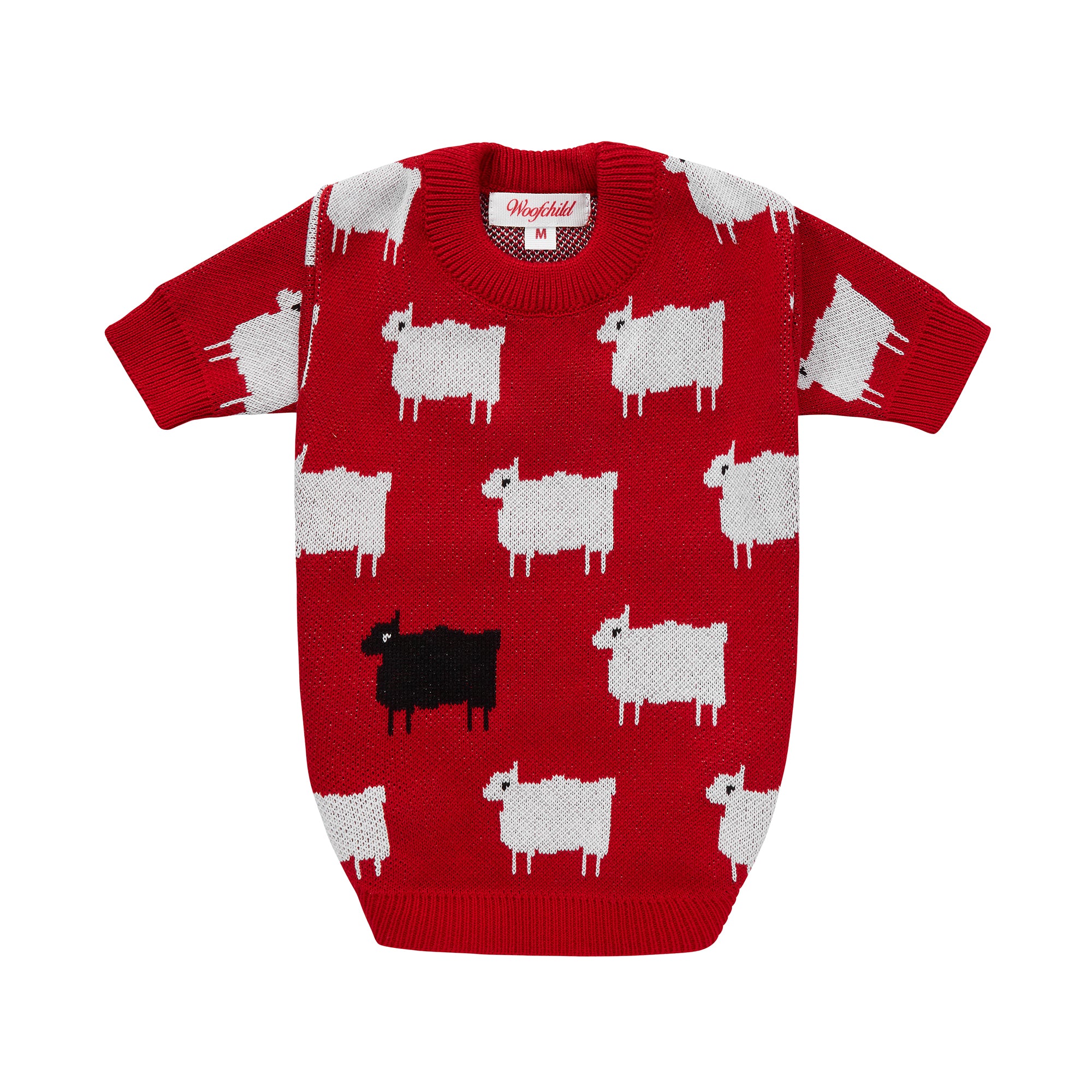 Sweterek DIANA w owieczki