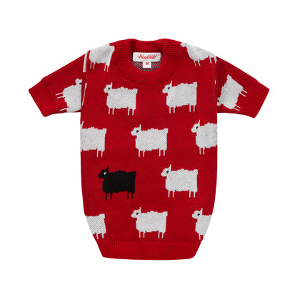 Sweterek DIANA w owieczki