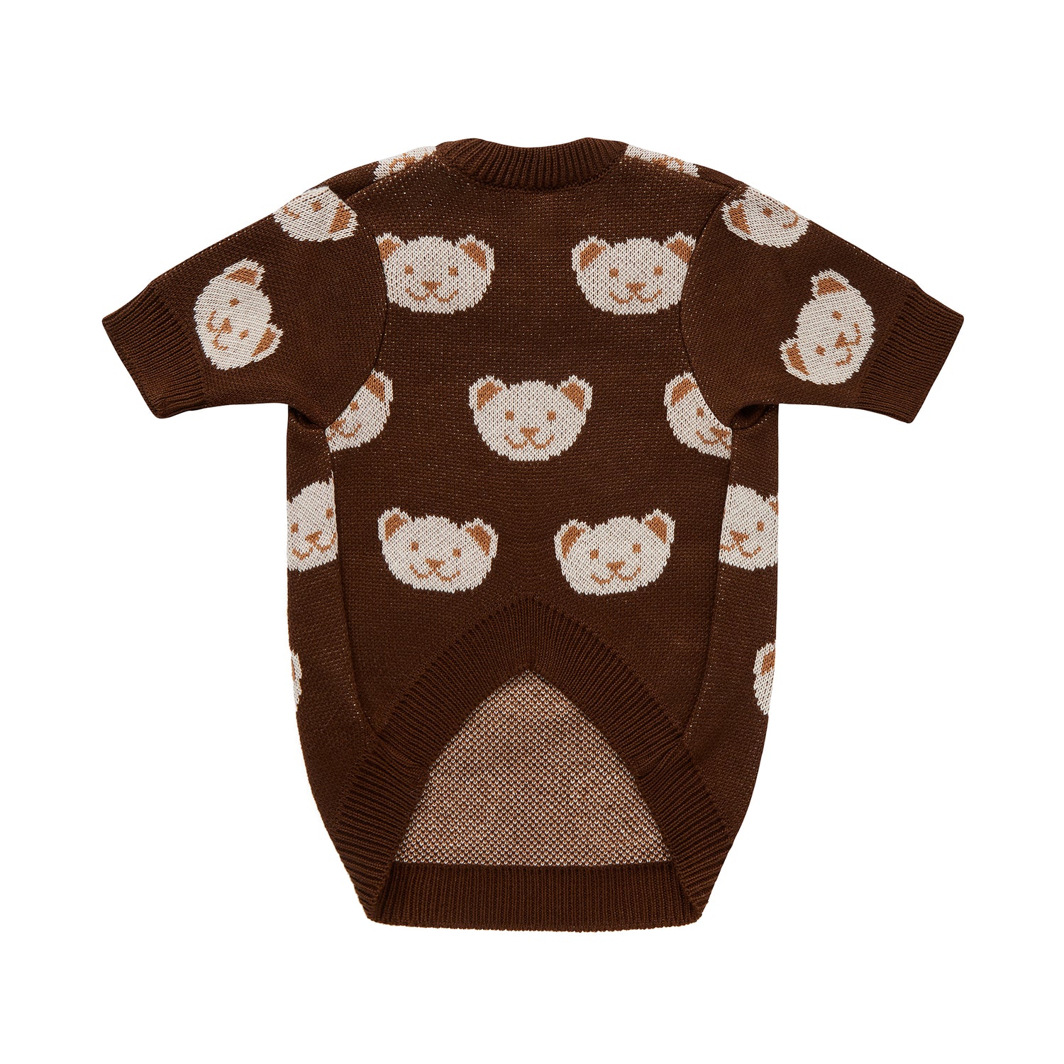 Chocolate sweater for a dog with bears