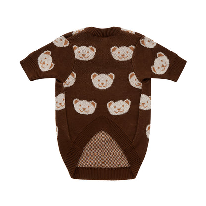 Chocolate sweater for a dog with bears