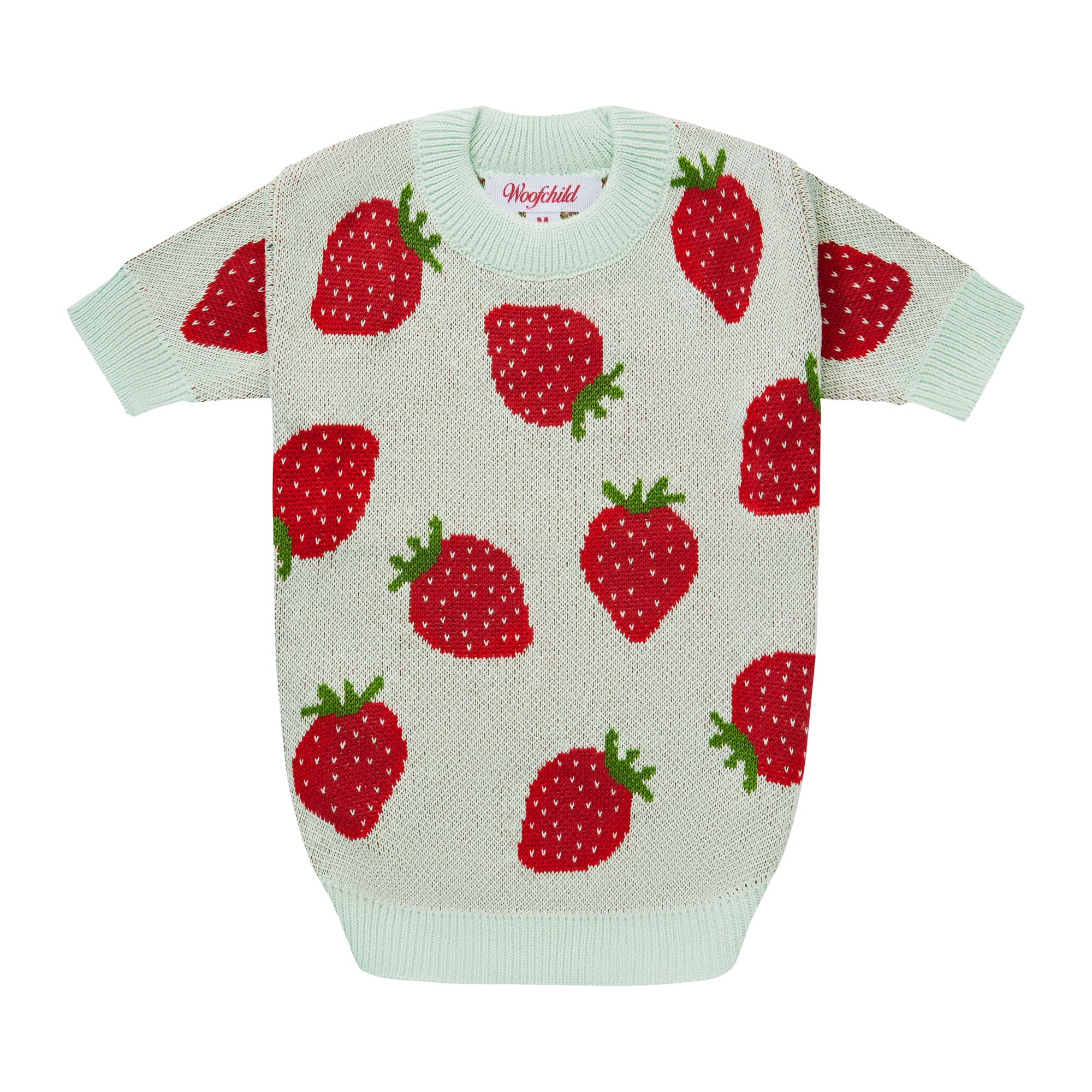 Miętowy sweterek dla psa w truskawki