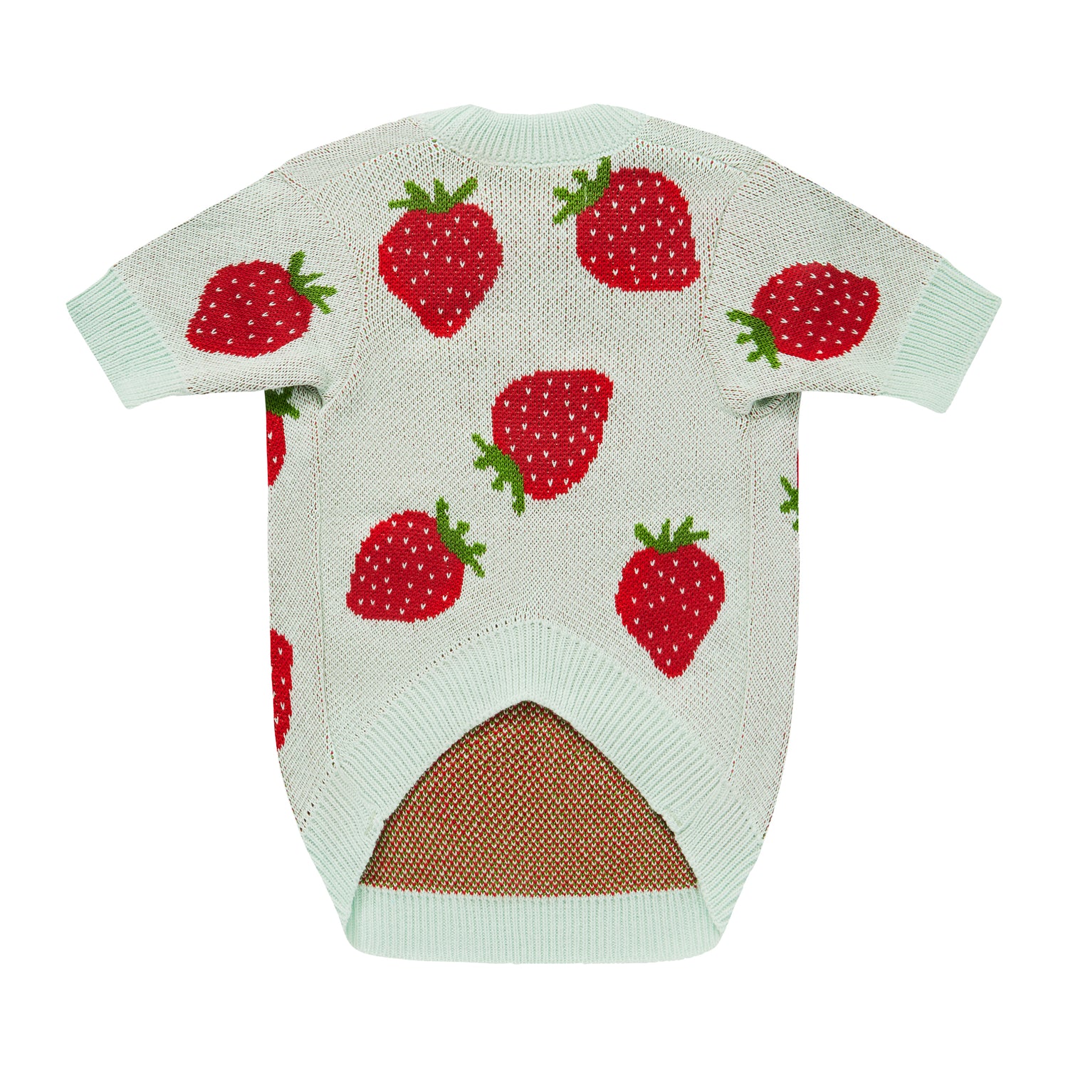 Miętowy sweterek dla psa w truskawki