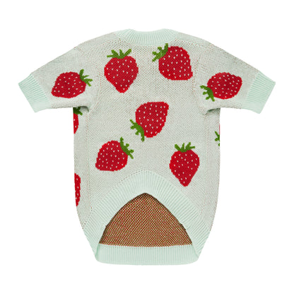 Miętowy sweterek dla psa w truskawki