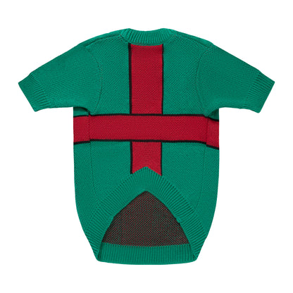 Świąteczny sweterek dla psa