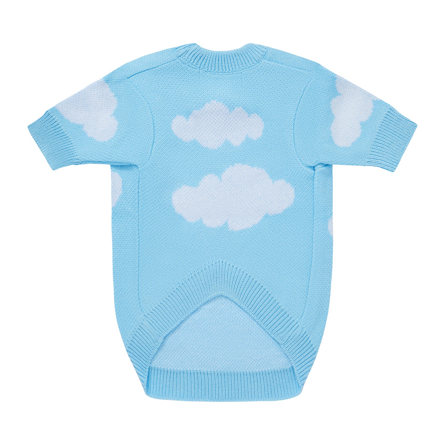 Błękitny sweterek dla psa w chmurki